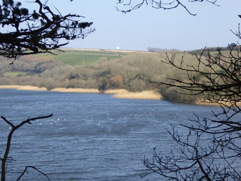 Featured image for Degibna