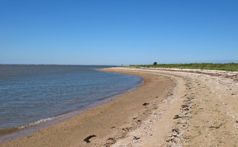 Featured image for Bradwell Beach