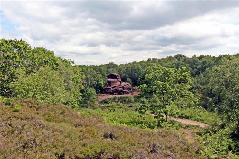 Featured image for Thurstaston Common