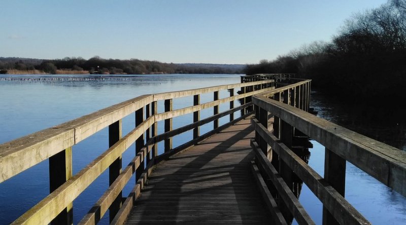 Featured image for Ashby Ville Nature Reserve