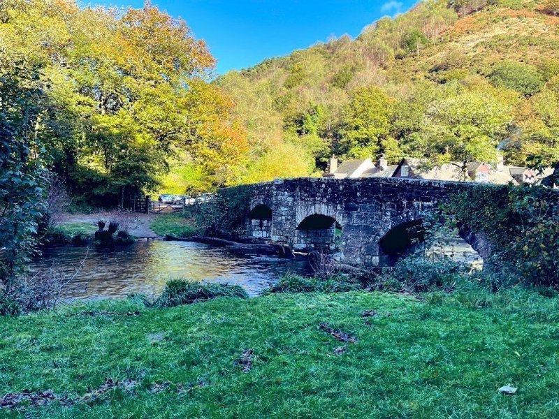 Featured image for Fingle Bridge