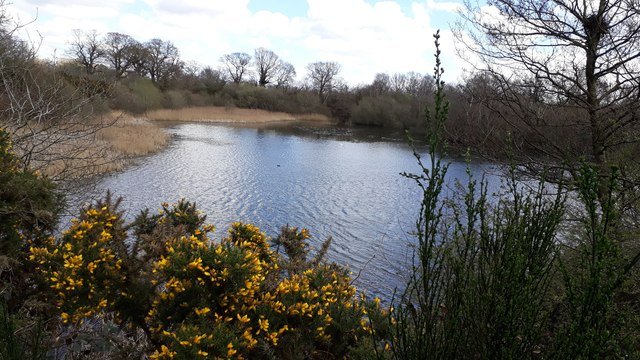 Sparham Pools