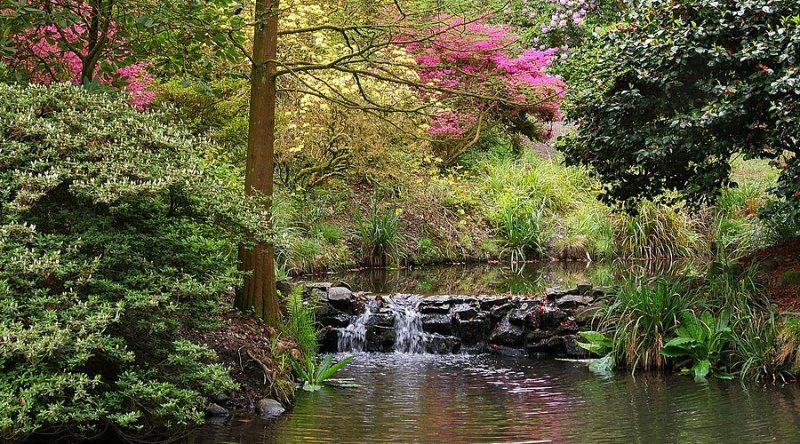 Featured image for Clyne Gardens