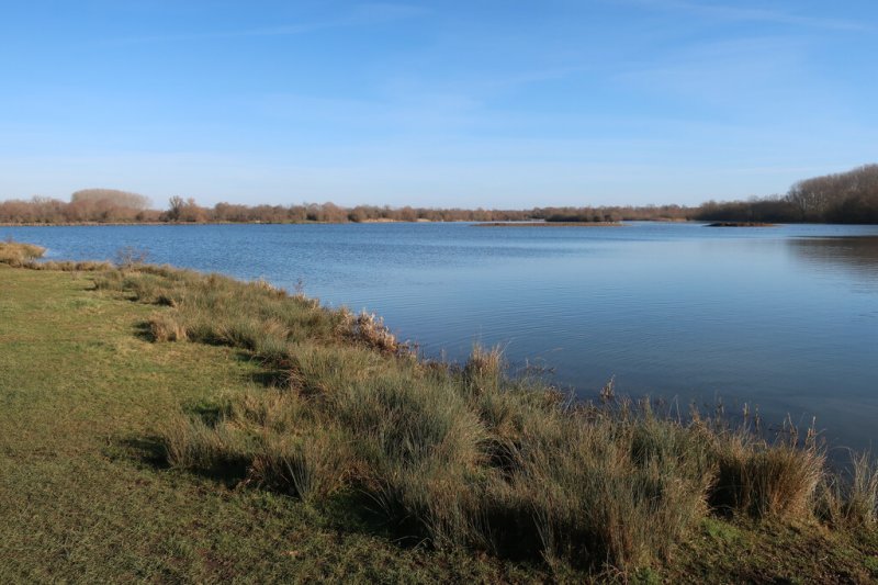 Featured image for Godmanchester Nature Reserve