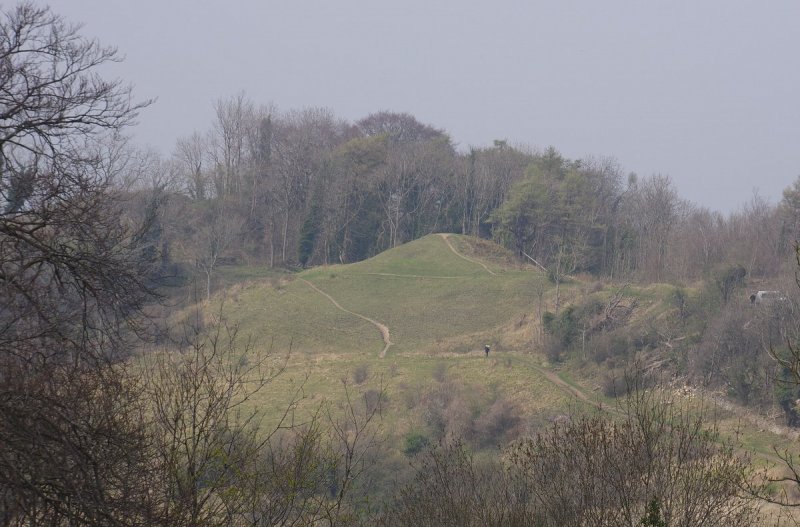 Featured image for Haresfield Beacon