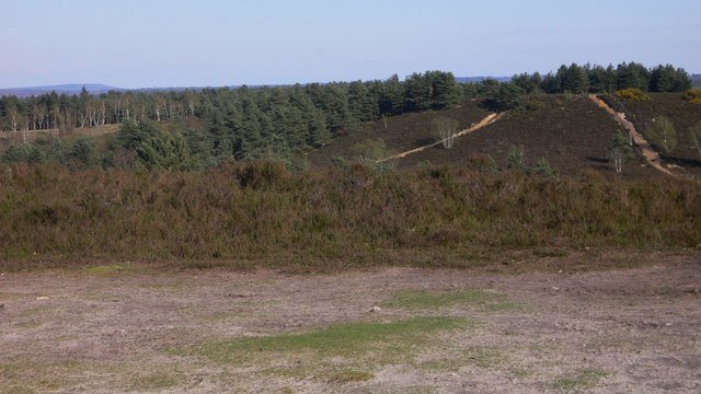 Featured image for Hankley Common