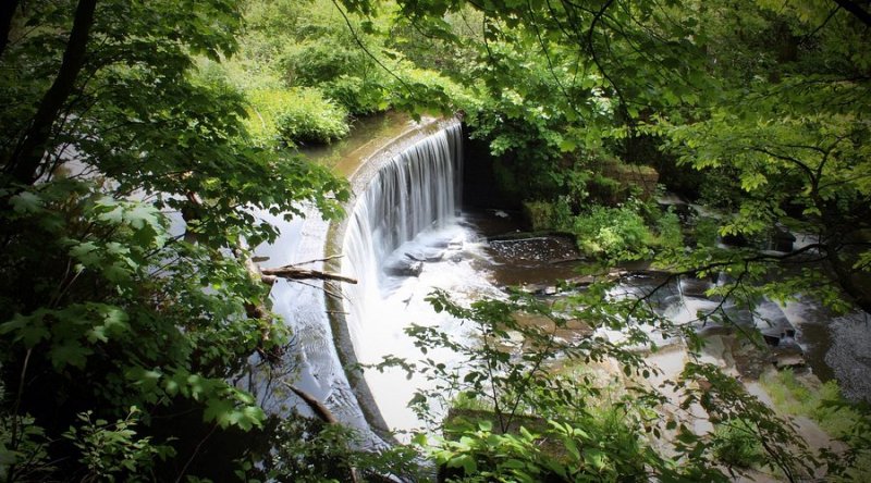 Featured image for Yarrow Valley Country Park