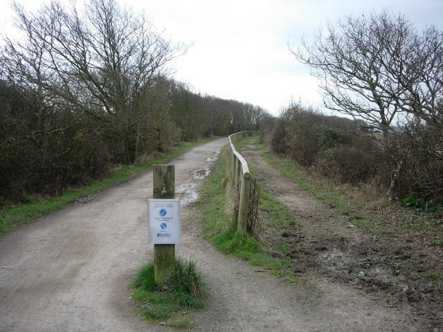 Featured image for Hayling Billy Trail