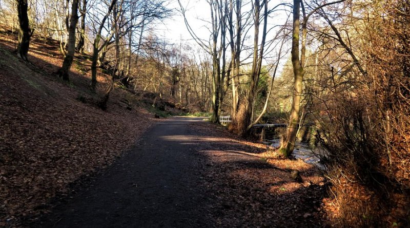 Valleyfield Woodland Park