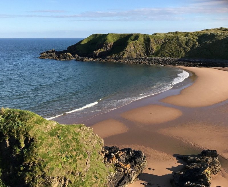 Forvie National Nature Reserve