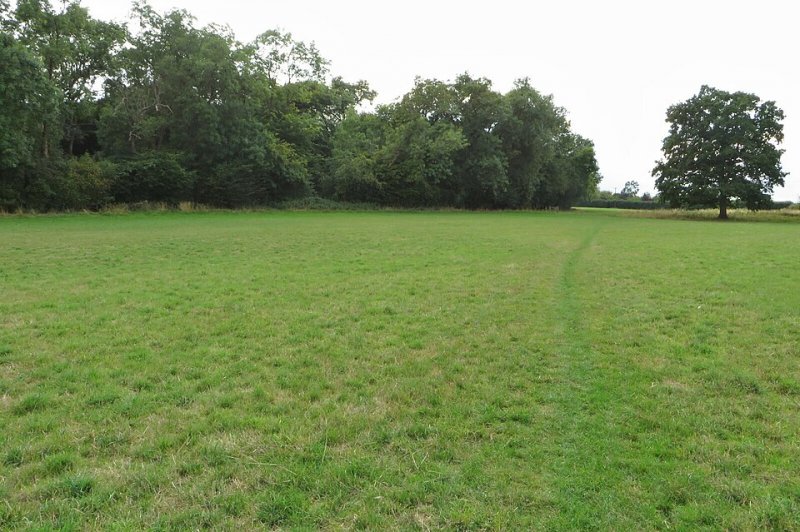 Featured image for Ardeley