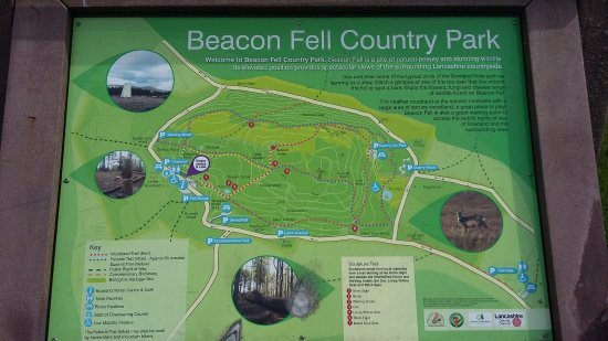 Featured image for Beacon Fell Country Park