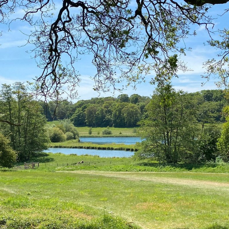 Featured image for Panshanger Park