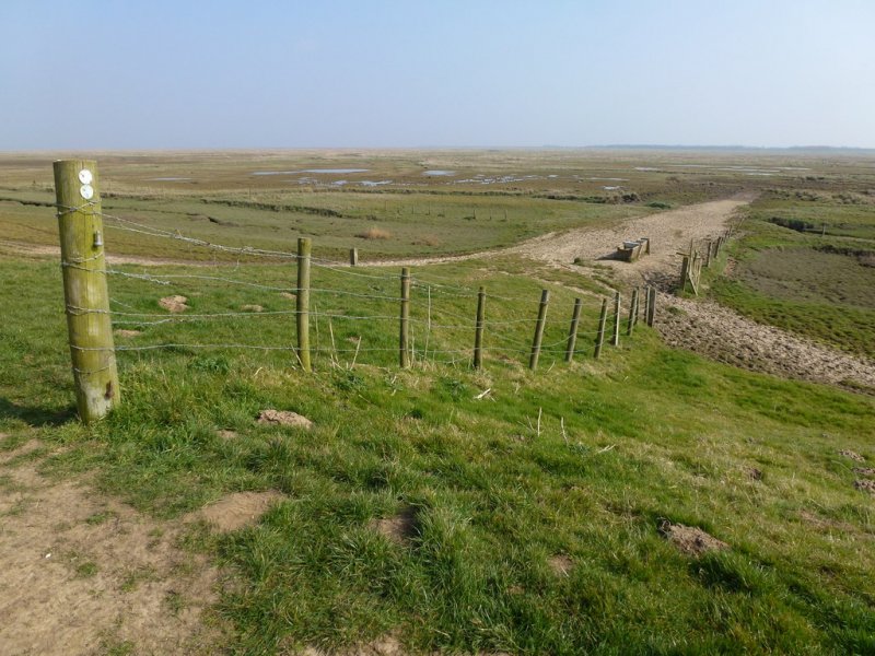 Featured image for Kirton Marsh