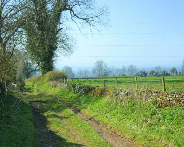 Featured image for Whitley