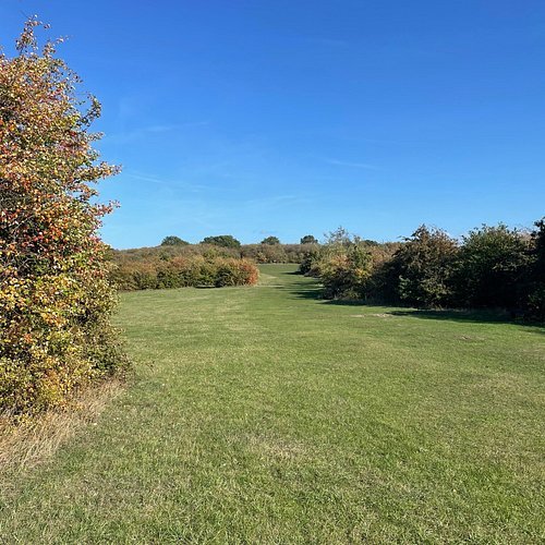 Featured image for Duncan Down