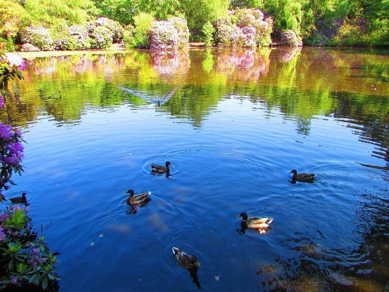 Featured image for Royden Country Park