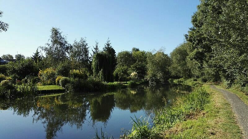 Featured image for Aylestone Meadows Local Nature Reserve