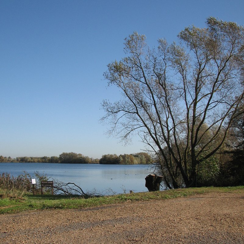 Featured image for Fen Drayton Lakes