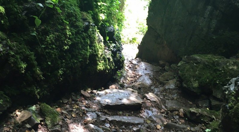 Featured image for Ebbor Gorge