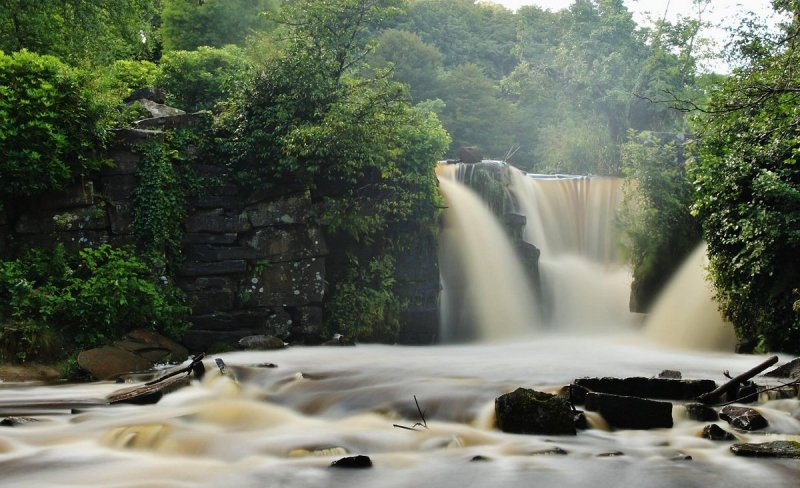 Featured image for Penllergare Valley Woods