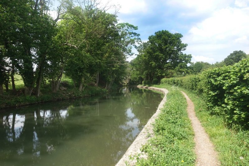 Featured image for Dogmersfield Park