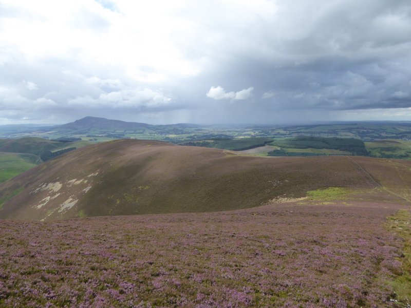 Featured image for Black Hill