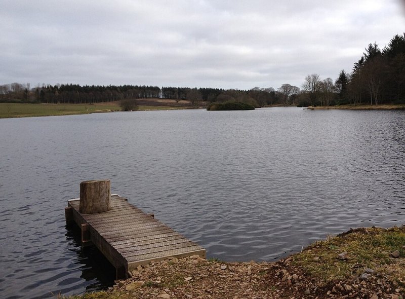 Featured image for Pitfour Lake
