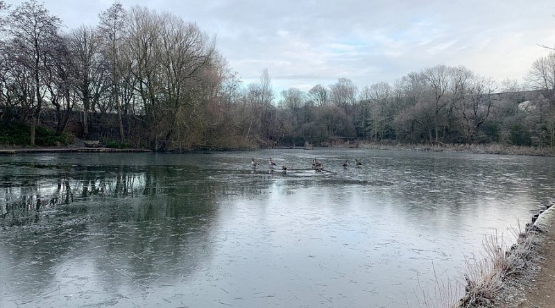 Featured image for Reddish Vale Country Park