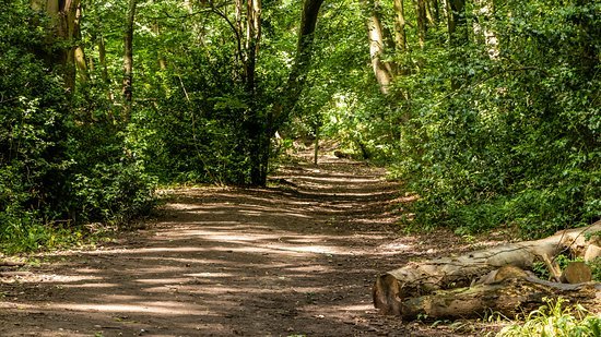 Featured image for Maes y Pant