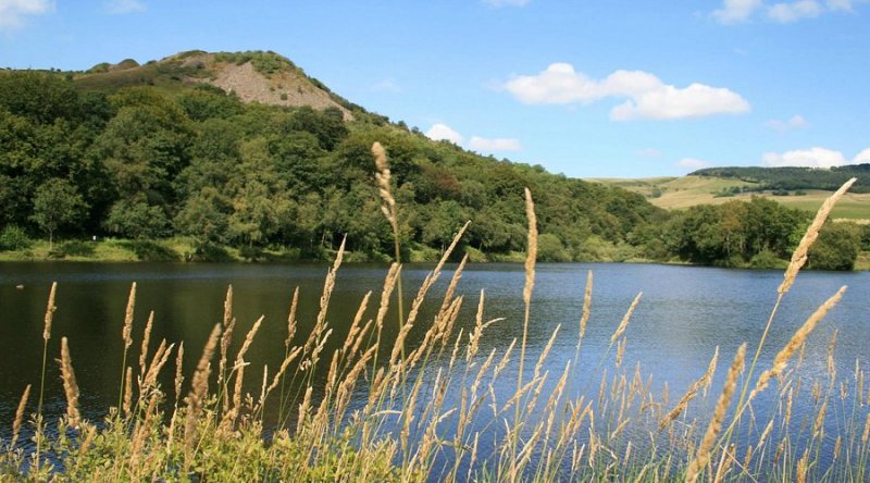 Featured image for Tegg's Nose Country Park