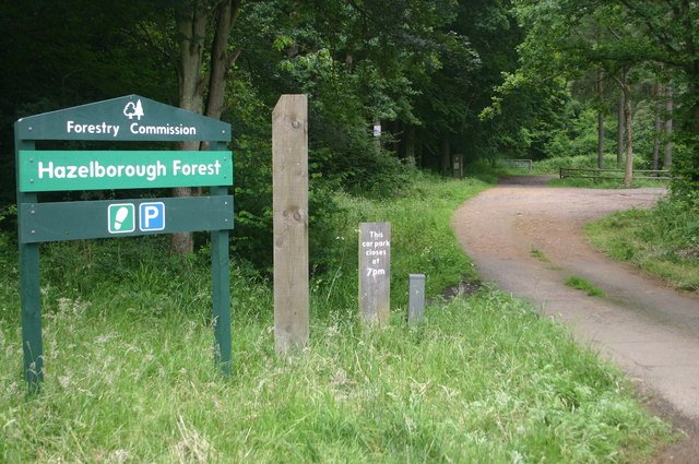 Hazelborough Wood