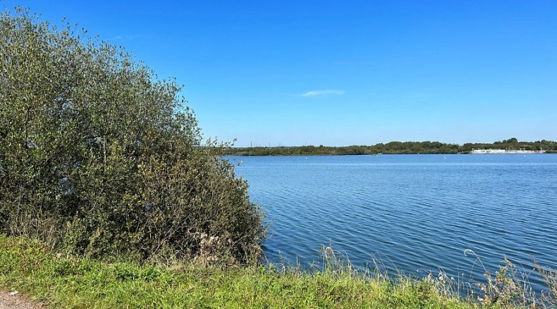 Featured image for Chasewater Country Park
