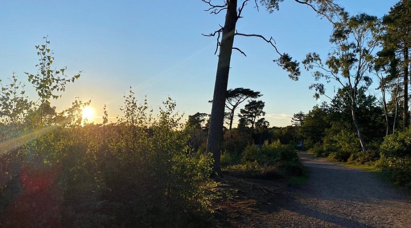 Lickey Hills Country Park