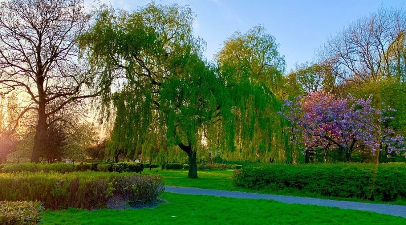 Debdale Park and Gorton Reservoirs