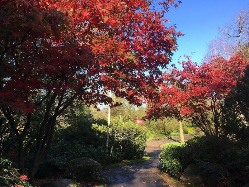 Featured image for Alexandra Park