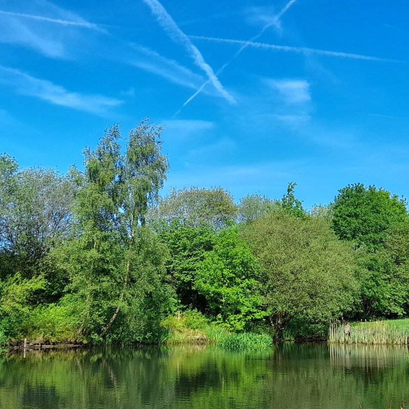 Featured image for Burrs Country Park