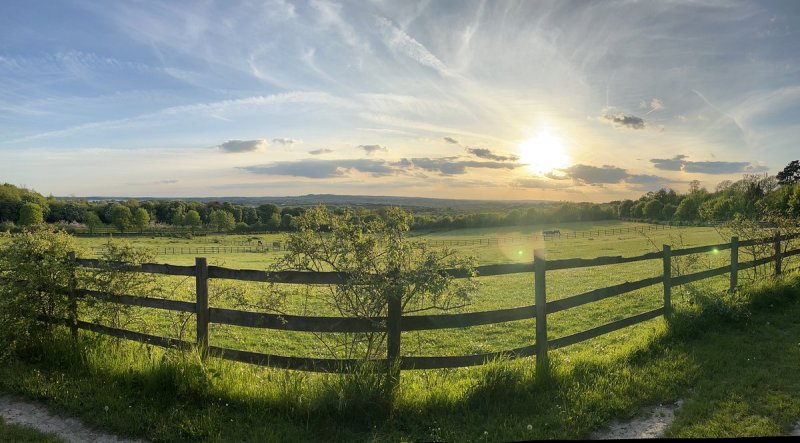 Featured image for Darenth Country Park