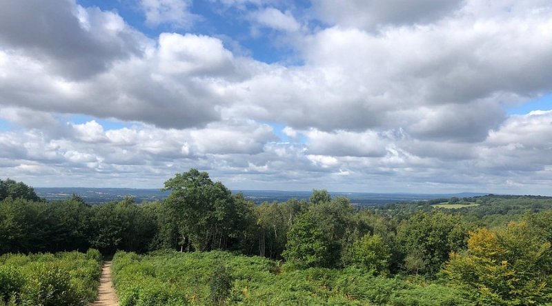 Featured image for Toys Hill