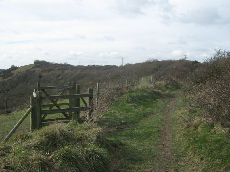 Featured image for Whinless Down Nature Reserve