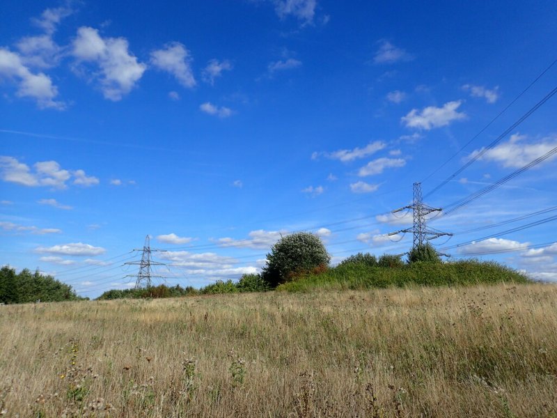 Jeskyns Community Woodland