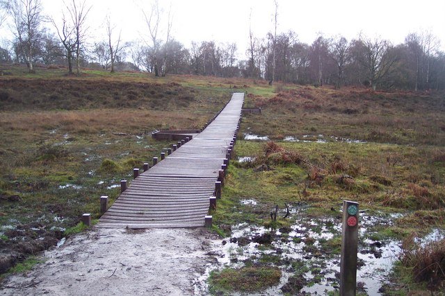Featured image for Hothfield Heathlands Common and Nature Reserve