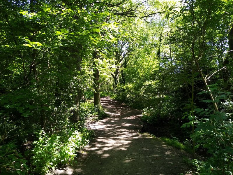 Featured image for Petts Wood and Hawkwood