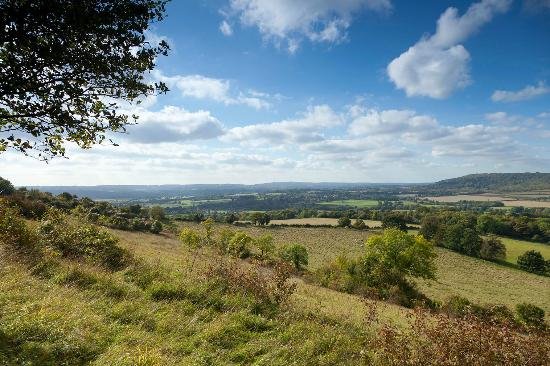 Featured image for North Downs Way