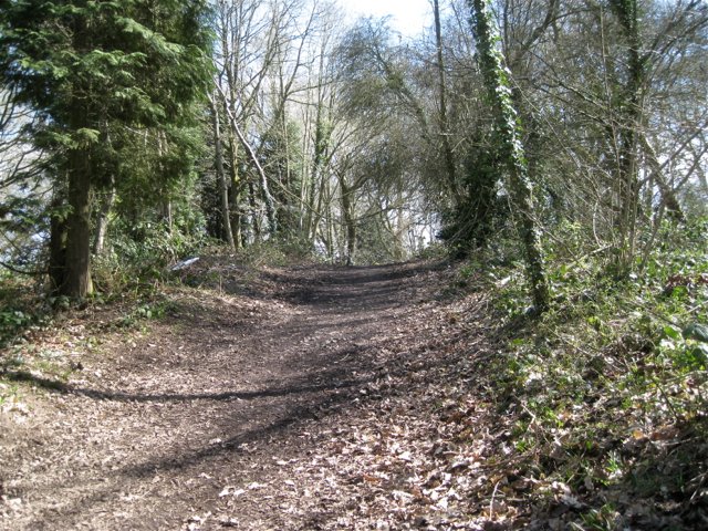 Featured image for Batchley and Pitcher Oak Woodland Walk