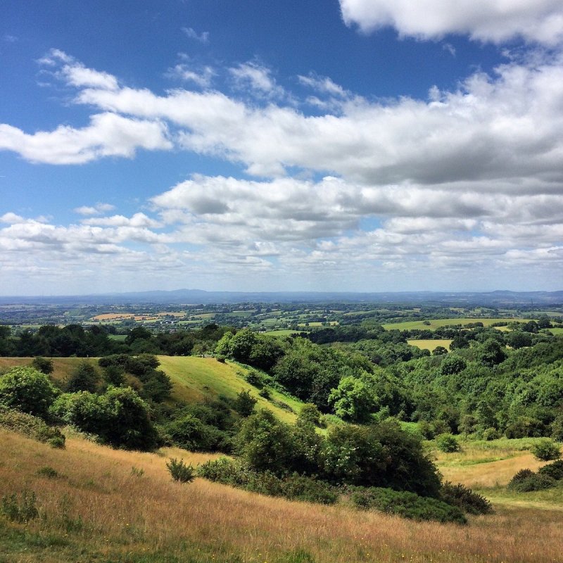 Featured image for Waseley Hills Country Park