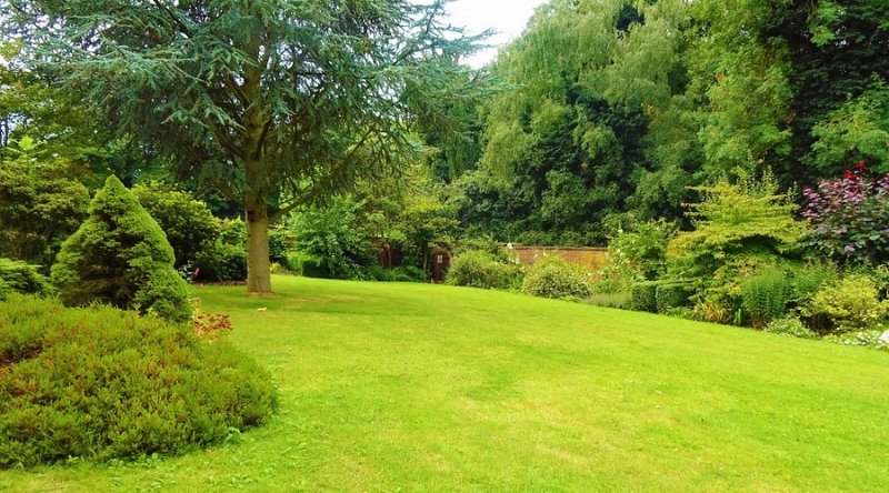 Featured image for Leasowes Park