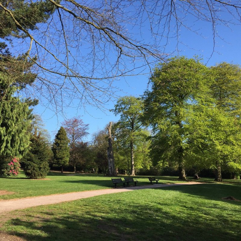 Featured image for Warley Woods