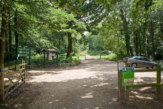 Featured image for Stoke Park Wood