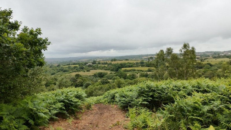 Park Hall Country Park